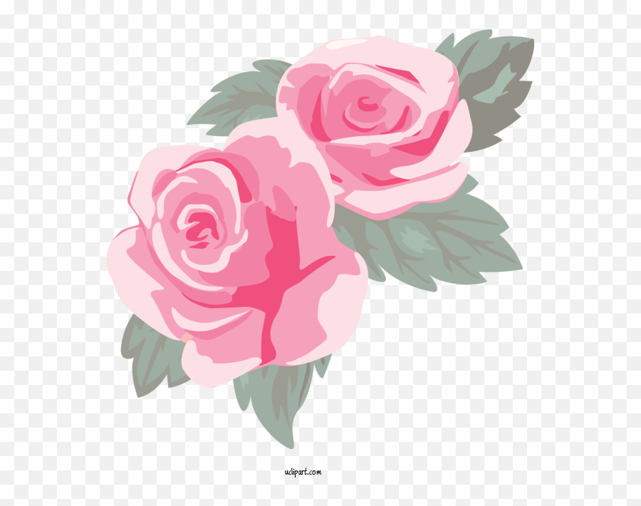 Flowers Garden Roses Pink Flower For Rose - Rose Clipart Emoji,Pink Flower Transparent Background