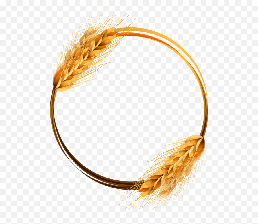 Common Wheat Ear Crop Line Grass Family For Thanksgiving Emoji,Wheat Transparent