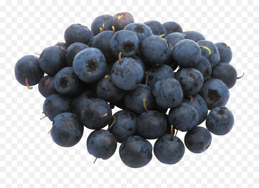 Blueberrys Png Image - Diamond Emoji,Blueberry Clipart