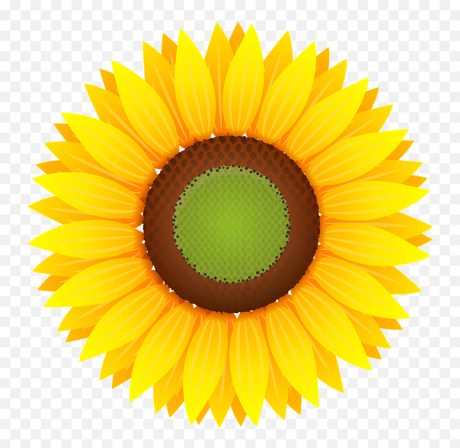 Sunflower Head Clipart - Sunflower Head On Transparent Emoji,Transparent Sunflowers