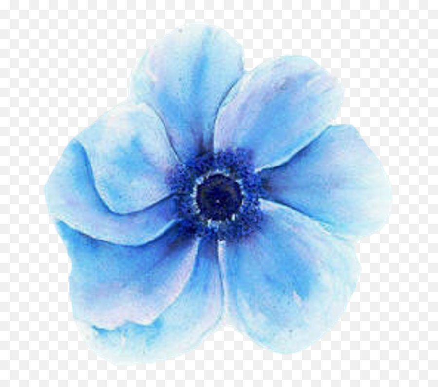 Flappy Bird Background - Blue Watercolor Flower Transparent Pastel Blue Flowers Transparent Background Emoji,Watercolor Flower Clipart