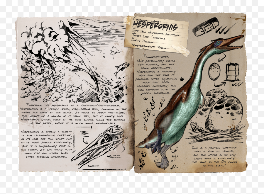 Hesperornis - Official Ark Survival Evolved Wiki Emoji,Ovo Owl Png