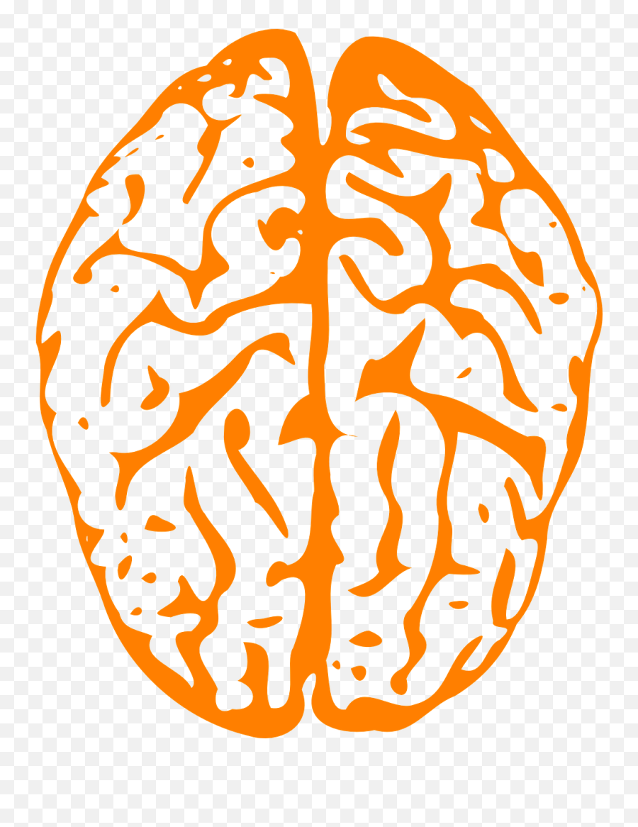 Brain Intelligence Human - Free Vector Graphic On Pixabay Emoji,Brainstorm Clipart