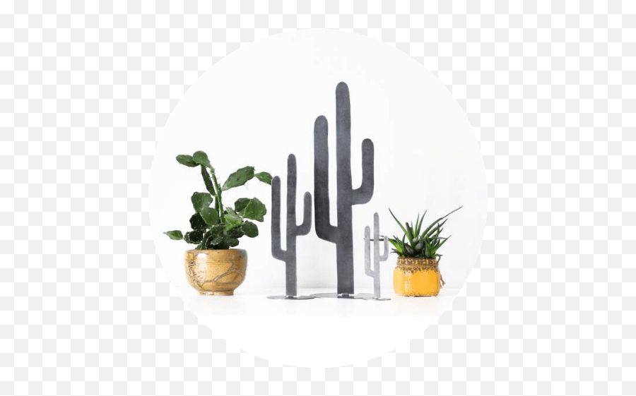 Metal Cactus Silhouette - Homify Nova Emoji,Cactus Silhouette Png