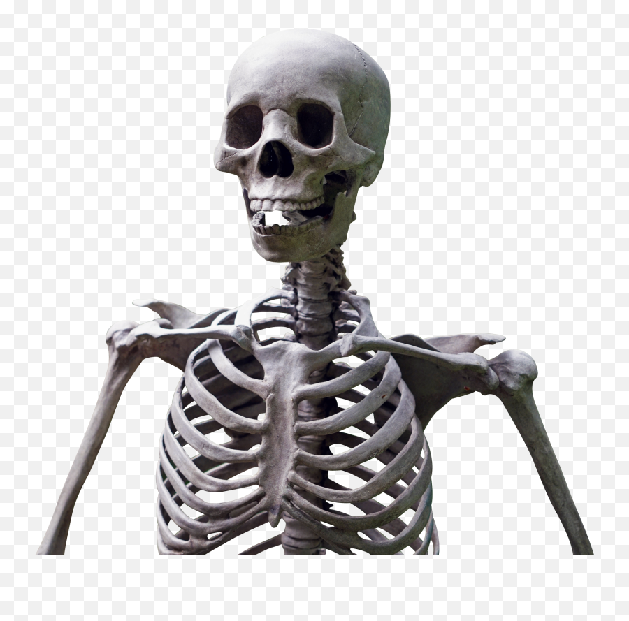 Skeleton Head Png Transparent Emoji,Skeleton Transparent