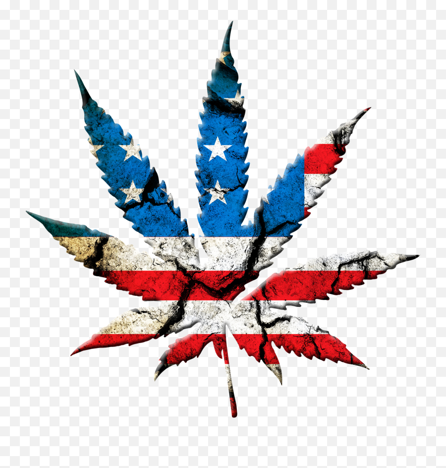 Marijuana Leaf The Flag Graphic Png - American Flag Pot Leaf Emoji,Marijuana Leaf Png