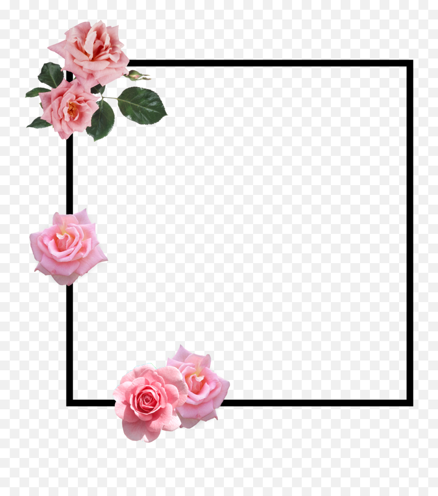 Pink Rose Border Clipart - Full Size Clipart 5444074 Border Clip Art Roses Emoji,Rose Border Png