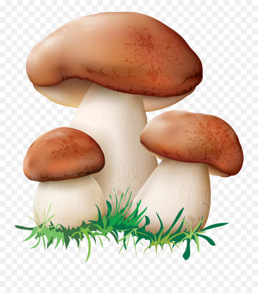 Download Hd Clip Art Royalty Free Stock - Mushroom Clipart Emoji,Mushroom Clipart
