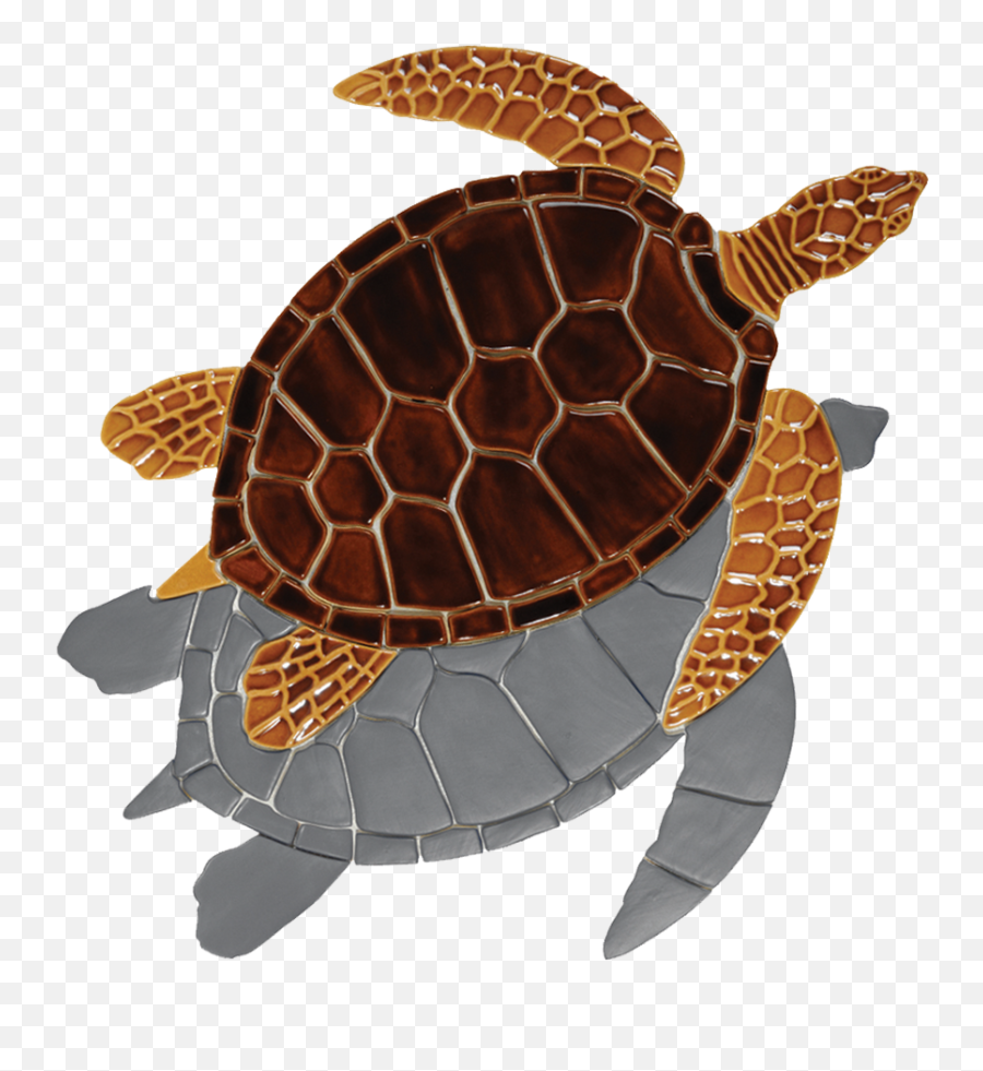 Gt7b Brown Sea Turtle Copy - Sea Turtle Transparent Sea Turtles Emoji,Sea Turtle Clipart