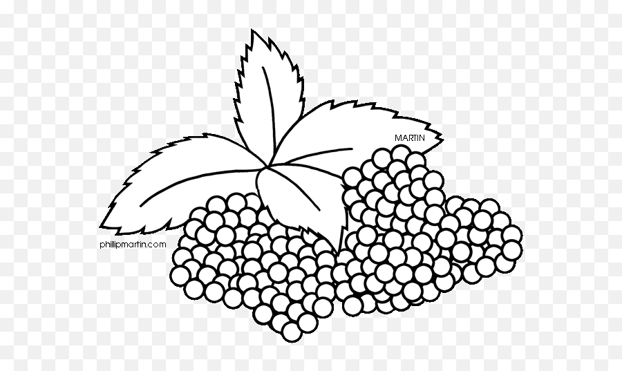 Free Fruit Clipart Fruits Clipart Black And White - Clip Art Lieblingsstück Bluse Pink Rot Emoji,Fruit Clipart Black And White