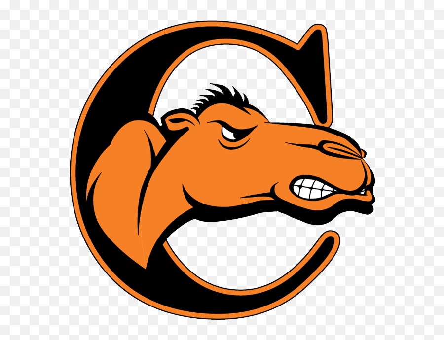 The Miami Hurricanes Defeat The Campbell Fighting Camels Emoji,Miami Hurricanes Logo Png