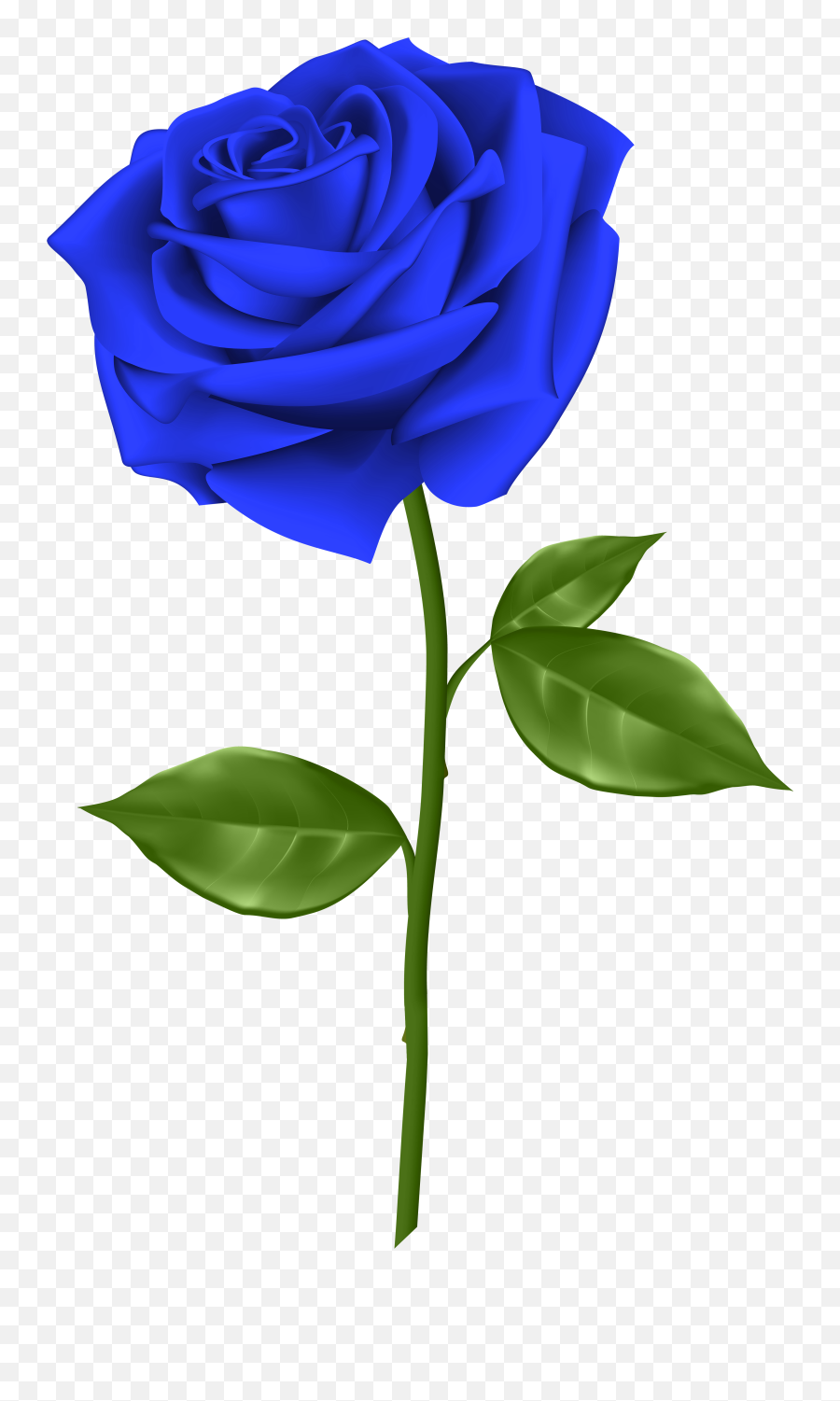 Library Of Short Stem Rose Image Library Download Png Files - Blue Rose Transparent Background Emoji,Stem Clipart