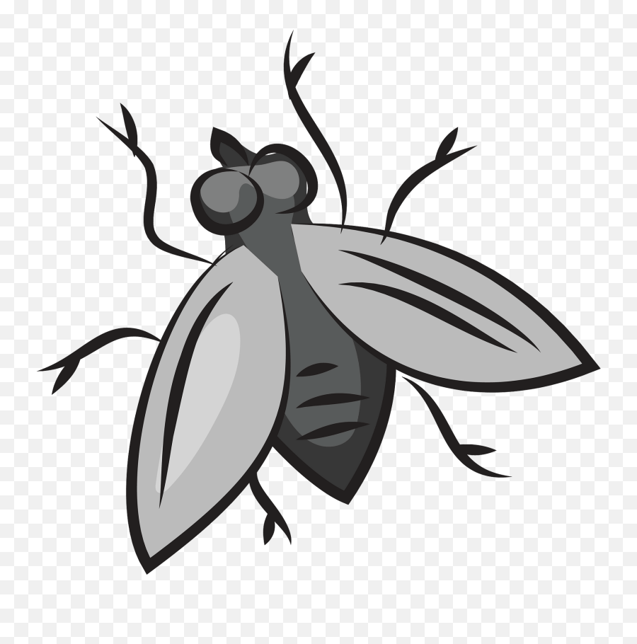 Free Fly Cliparts Download Free Clip - Parasitism Emoji,Fly Clipart