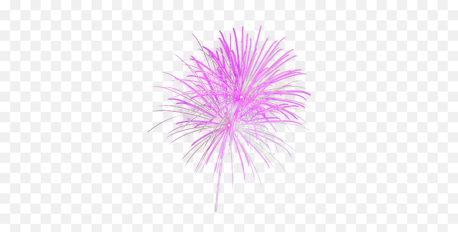 Fireworks Png - Fireworks Transparent Background Purple And Pink Emoji,Fireworks Transparent