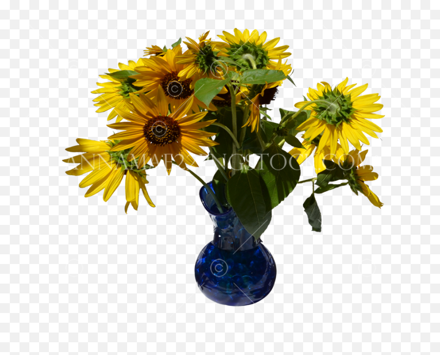 Vase Png Stock 0320 Transparent Image - Sunflower In Vase Png Emoji,Sunflowers Png