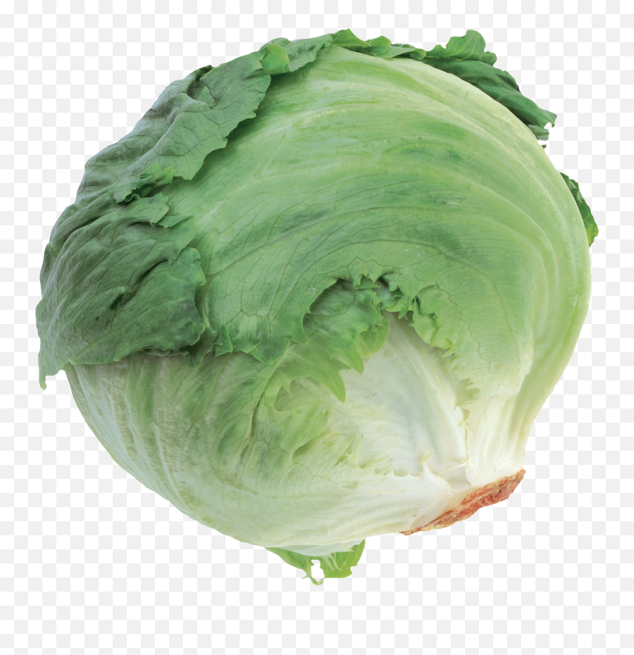 Cabbage Png Emoji,Kimchi Clipart