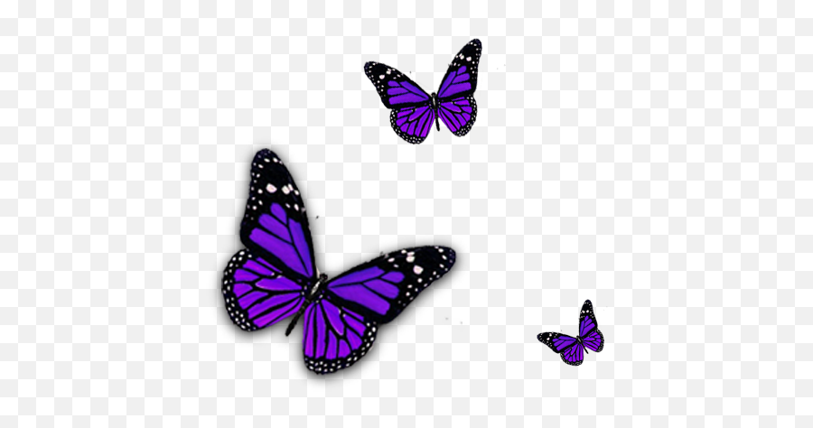 Download Go Back U003e Pix For Purple Butterfly Png Clipart Emoji,Butterfly Png Clipart