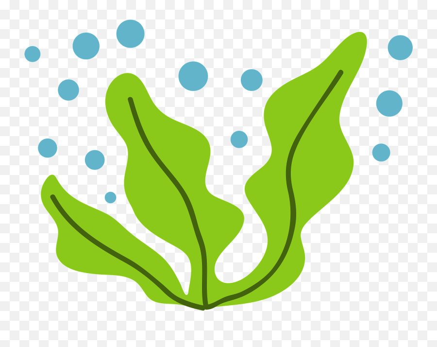 Wakame Seaweed Clipart Emoji,Seaweed Clipart