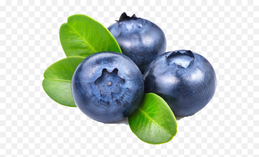 Blueberries Clipart Png Free Images Transparent U2013 Free Png Emoji,Blueberry Clipart