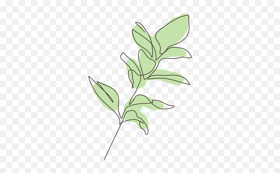 Rubber Fig Plant Leaves Stroke - Twig Emoji,Transparent Leaves