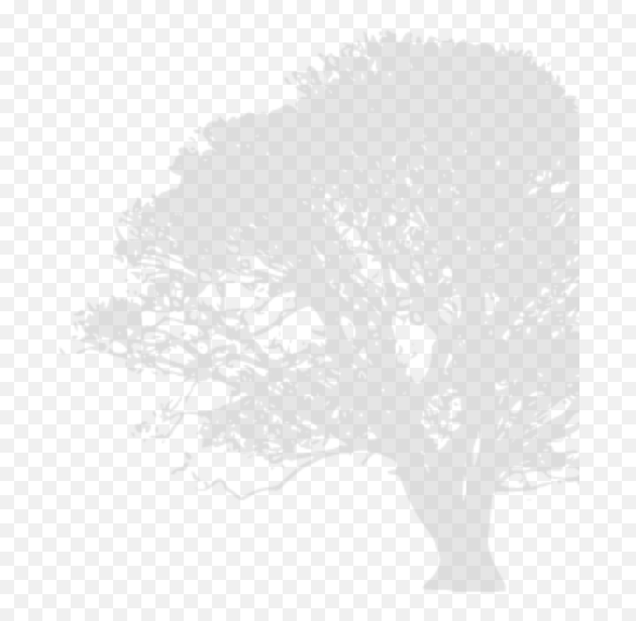 Oak Tree Svg Vector Oak Tree Clip Art - Svg Clipart Sketch Emoji,Oak Tree Clipart