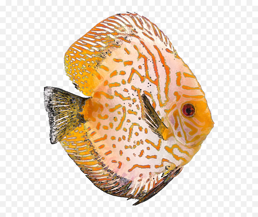 Free Clipart Tropical Fish Emoji,Coral Reef Fish Clipart