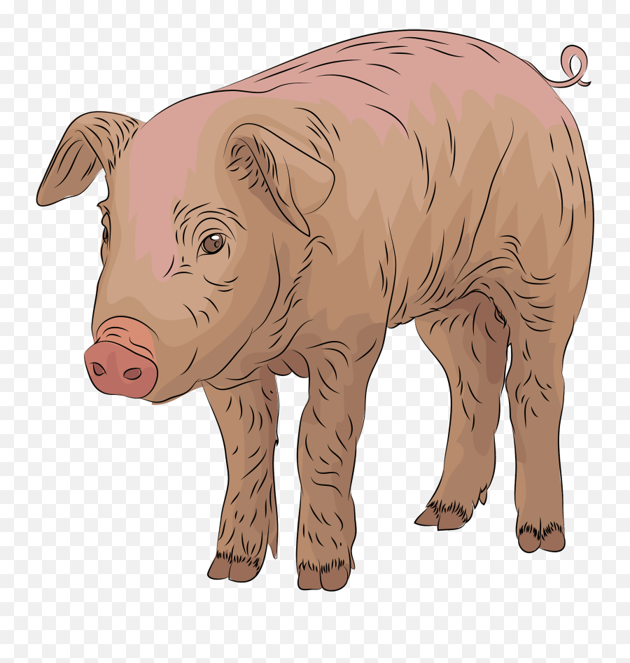 Pig Clipart - Animal Figure Emoji,Pig Clipart