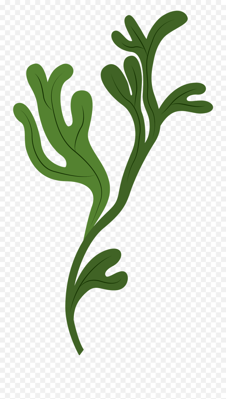 Seaweed Clipart - Decorative Emoji,Seaweed Clipart