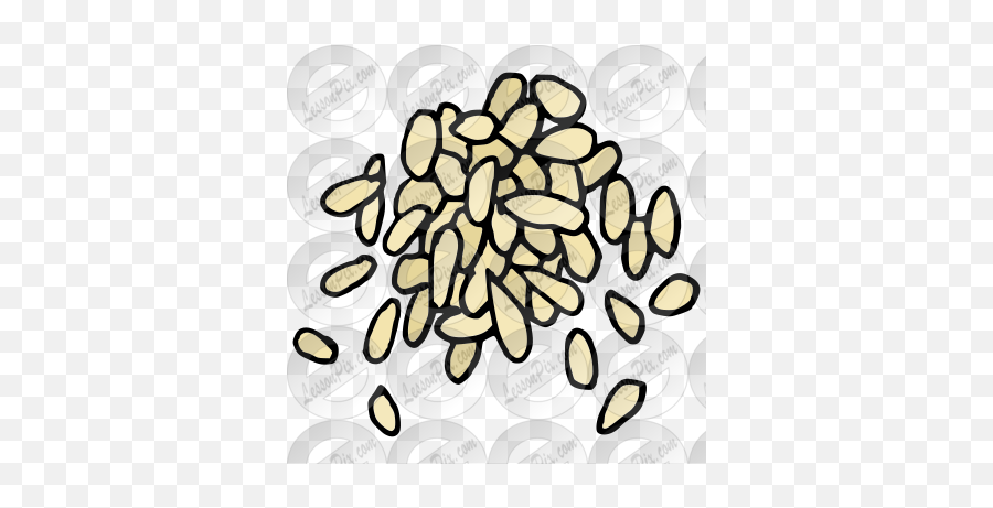 Sesame Seeds Picture For Classroom - Sesame Seeds Clipart Black And White Emoji,Seed Clipart