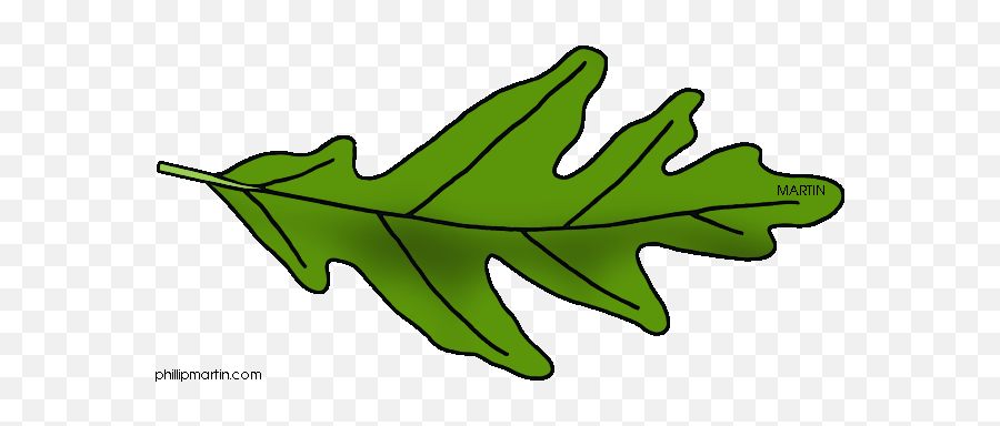 Oak Leaf Outline Png Images - Leaf Illinois State Tree Emoji,Oak Leaf Clipart