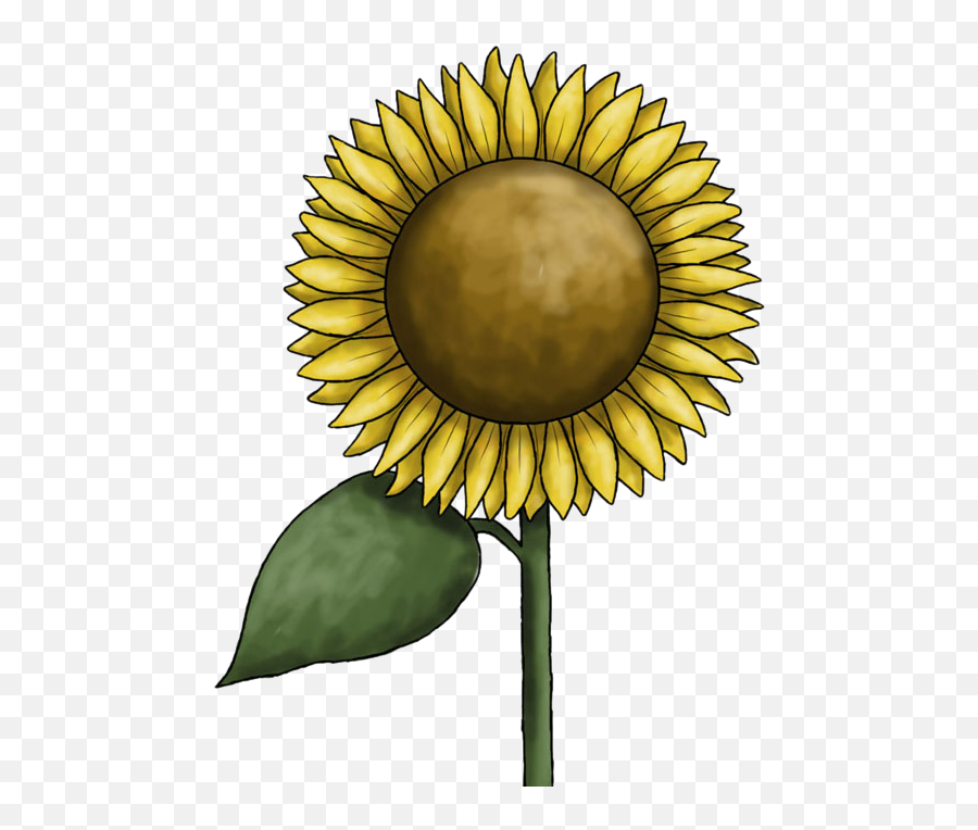 Sunflower Clipart Free Images - Clip Art Emoji,Sunflower Clipart