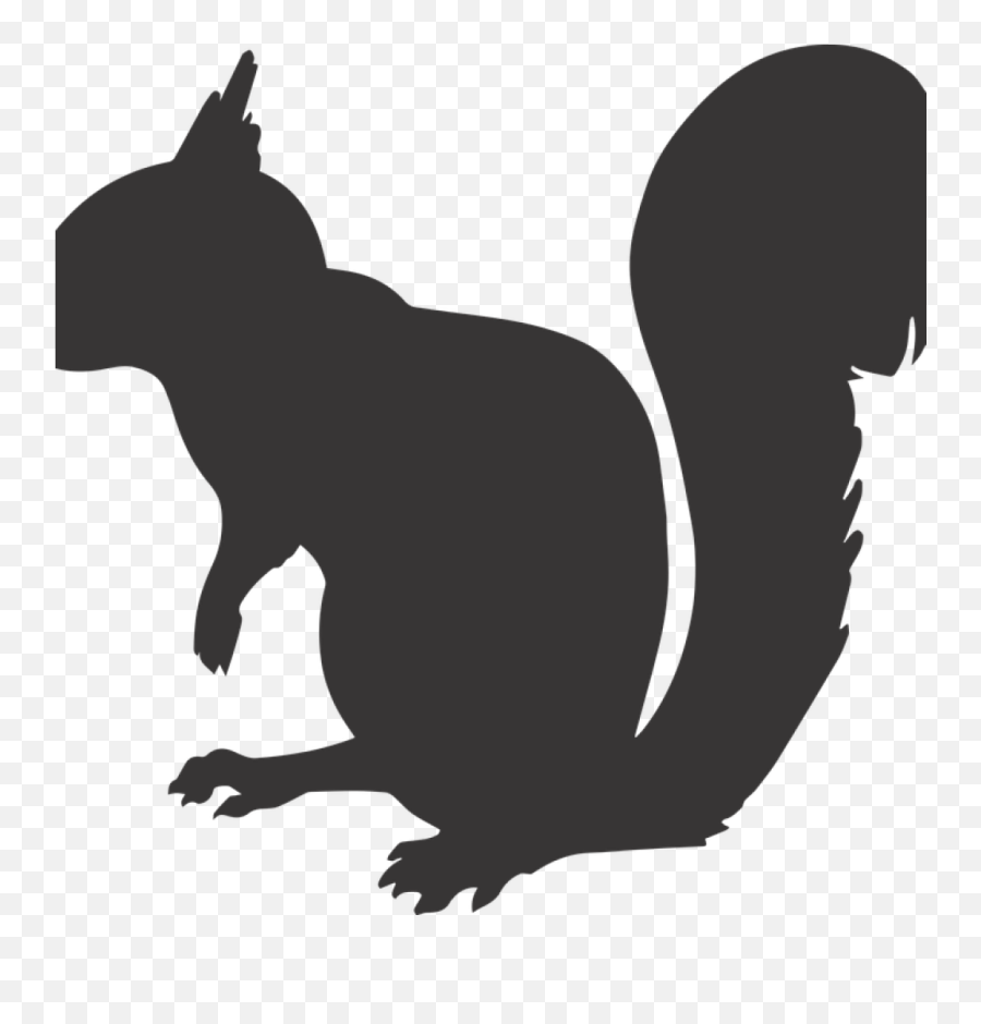Download Squirrel Silhouette Math Clipart - Squirrel Squirrel Clipart Emoji,Math Clipart Black And White
