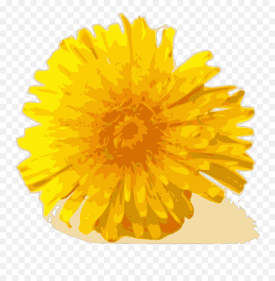 Dandelion Svg Vector Dandelion Clip - Pot Marigold Emoji,Dandelion Clipart