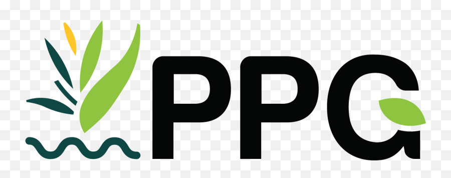 Digilari Case Study Premium Pools U0026 Gardens Project - Language Emoji,Ppg Logo