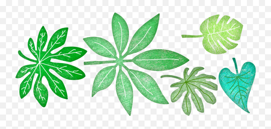Tropical Leaves - Die Tropical Leaves Transparent Png Portable Network Graphics Emoji,Tropical Leaf Png