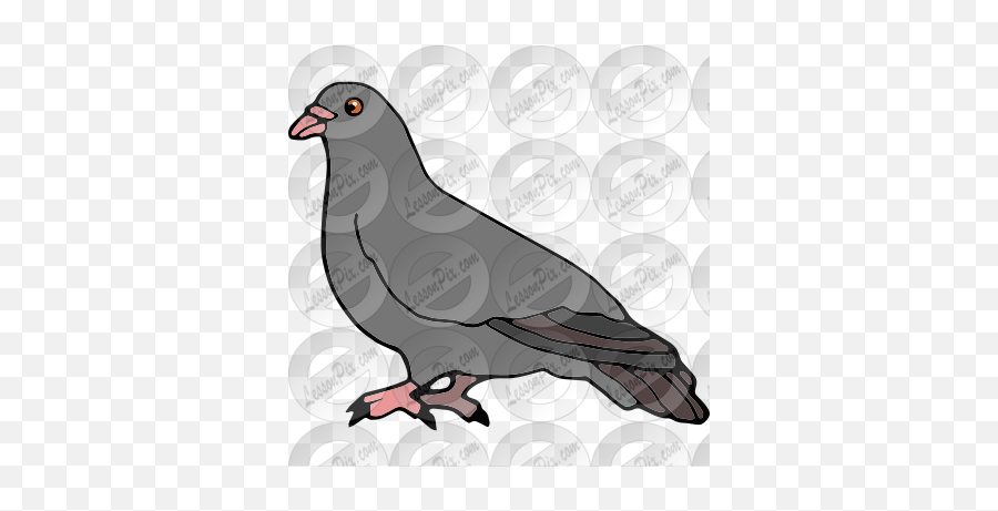 Pigeon Picture For Classroom Therapy - Homing Pigeon Emoji,Pigeon Clipart