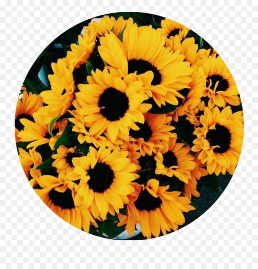 Tumblr Flowers Background Posted By Ryan Sellers - Yellow Aesthetic Flowers Emoji,Tumblr Flowers Transparent