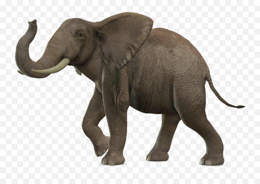 Elephant - Elephants Png Emoji,Elephant Png