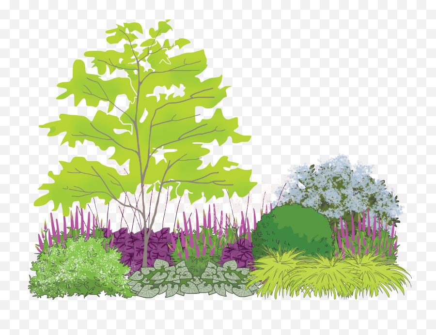 Garden Design - Deerresistant Garden For Part Shade Home Emoji,Dogwood Flower Clipart