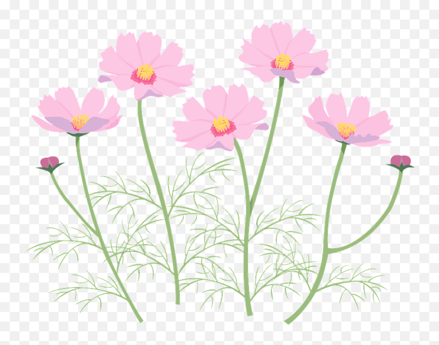 Cosmos Flower Clipart Free Download Transparent Png Emoji,Thistle Clipart