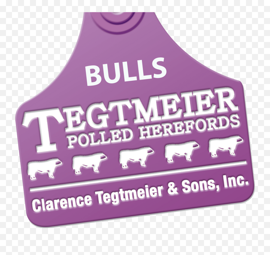 Our Hereford History Tegtmeier Polled Herefords Emoji,Bulls Png