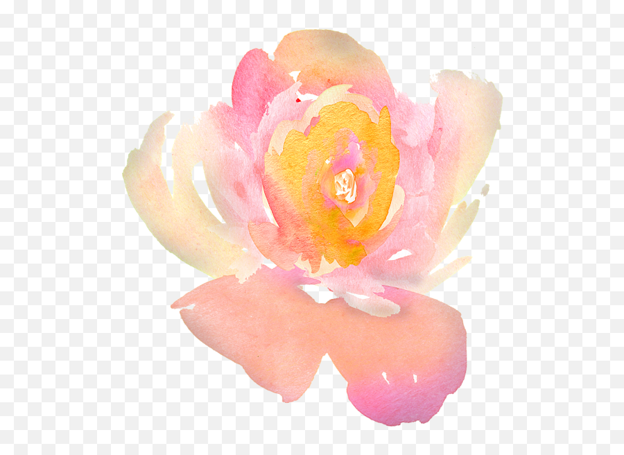 Pretty Watercolor Flower Baby Onesie Emoji,Watercolor Rose Png