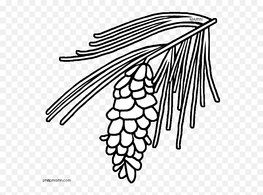 Pine Tree Branch Clip Art Black And - Coloring Page Pine Branch Emoji,Pine Cone Clipart