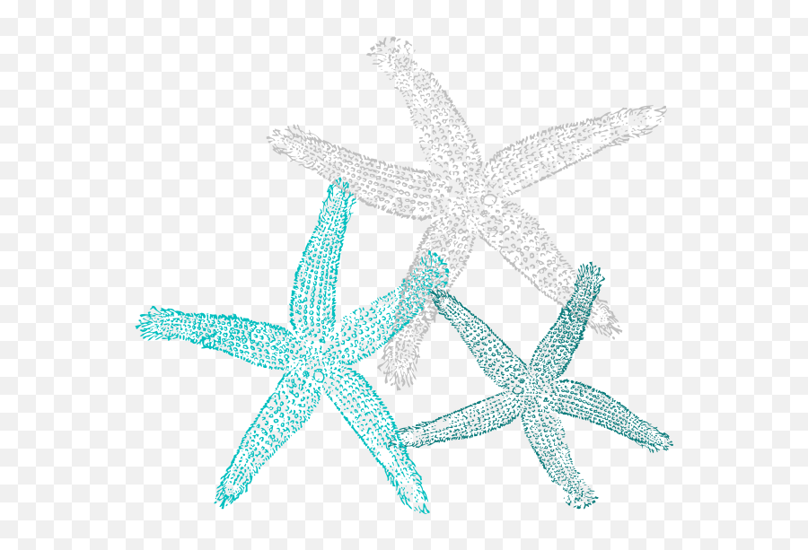 Download Starfish Clipart Teal - Sea Star Drawing Png Emoji,Starfish Clipart