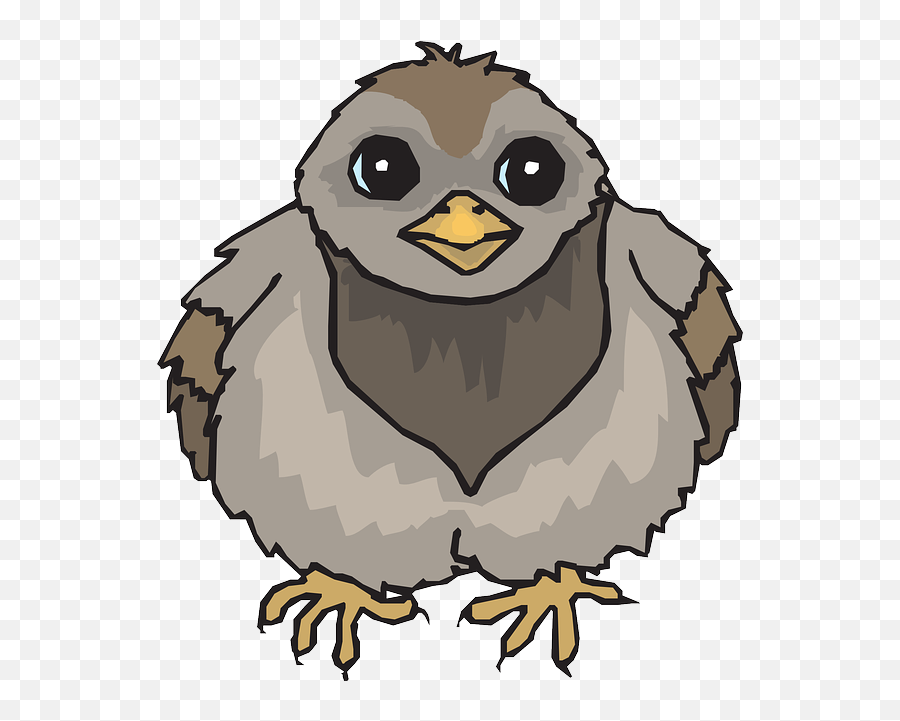 Baby Bird Wings - Pigion Clipart Emoji,Pigeon Clipart