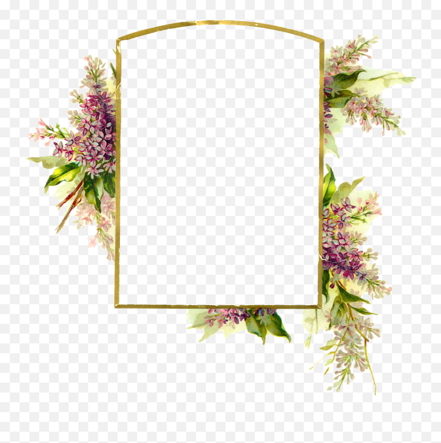 Floral Frame Png - Floral Emoji,Frame Png