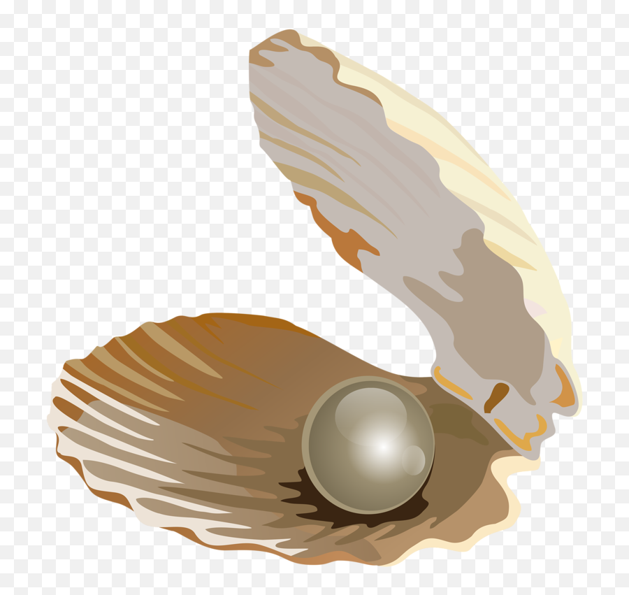 Pearl Shell Png - Shell Without Pearl Emoji,Pearl Clipart