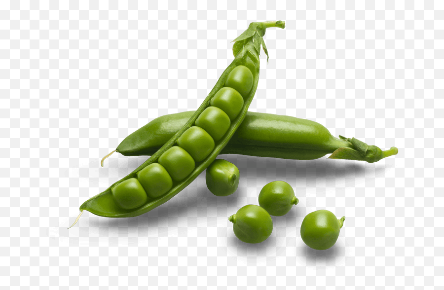 Download Hd Green Pea Transparent Png Image - Nicepngcom Emoji,Peas Png