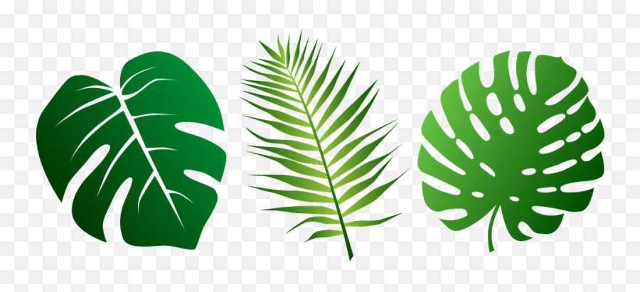 Palm Leaves Clipart - Jungle Leaves Clipart Emoji,Jungle Clipart