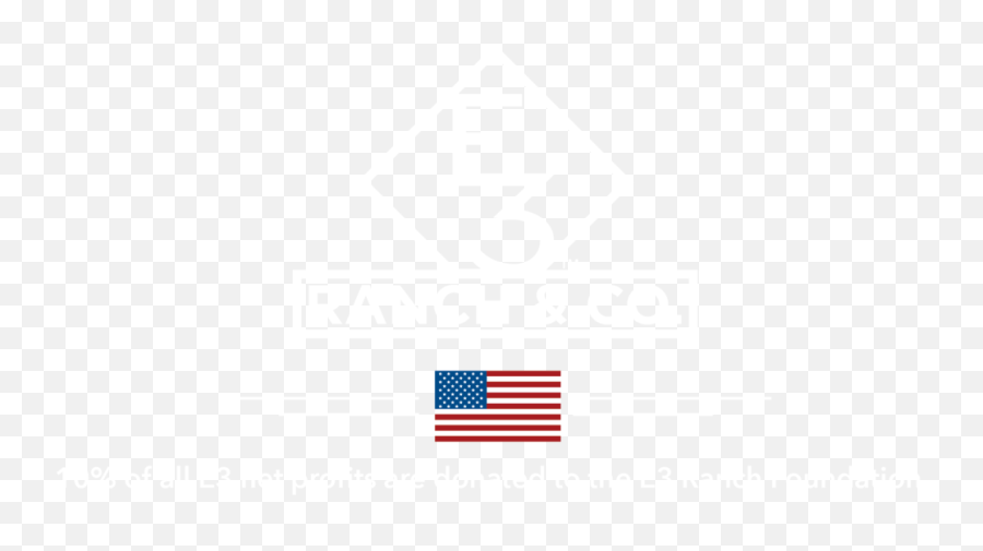 E3 Ranch Co - American Emoji,E3 Logo
